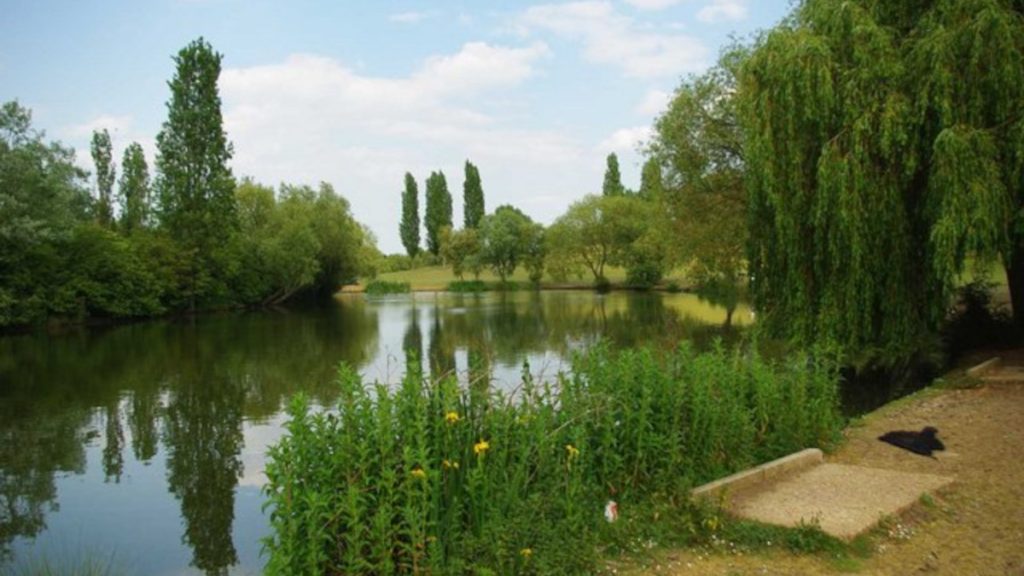 Basildon Planning policy advice